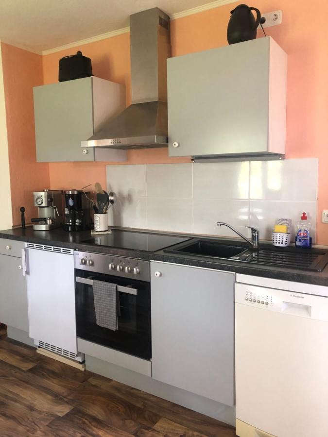 Wohlfuehloase Dresden Nickern Διαμέρισμα Εξωτερικό φωτογραφία
