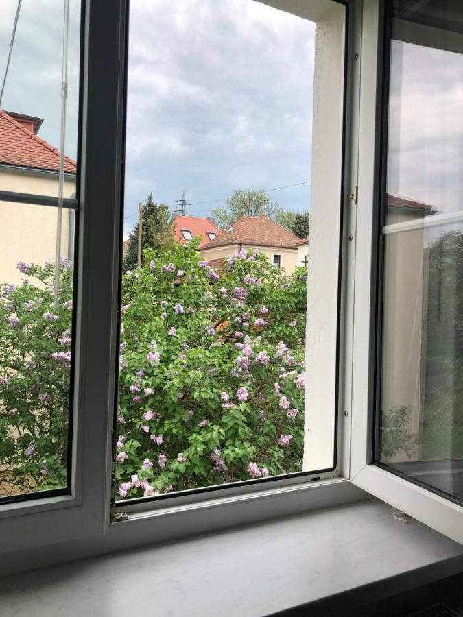 Wohlfuehloase Dresden Nickern Διαμέρισμα Εξωτερικό φωτογραφία